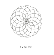 Plant Miami