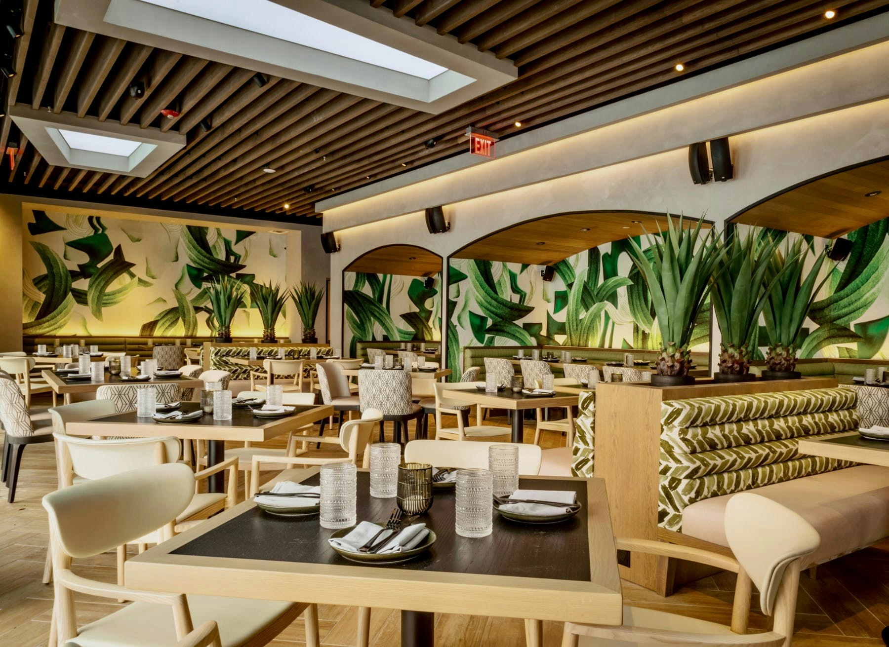 PLANTA South Beach