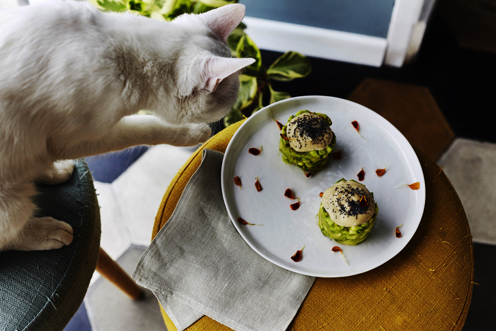 Romeow Cat Bistrot